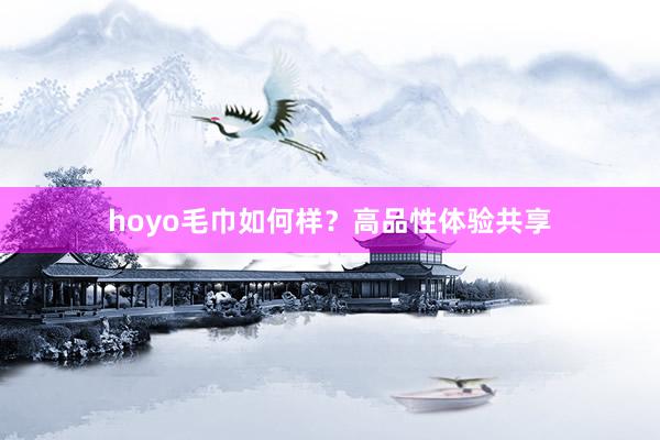 hoyo毛巾如何样？高品性体验共享