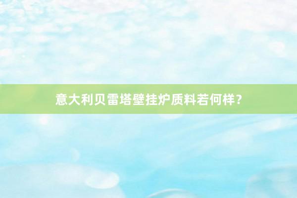 意大利贝雷塔壁挂炉质料若何样？