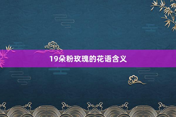 19朵粉玫瑰的花语含义