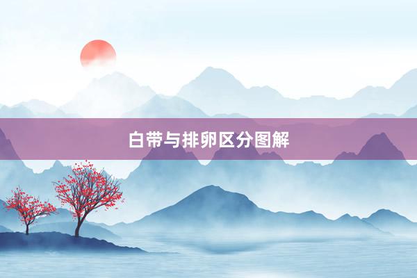 白带与排卵区分图解